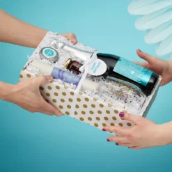 Birthday Sparkling Wine & Savory Snack Collection -HICKORY FARMS Sales birthday sparkling wine and savory snack collection 006435 3 2