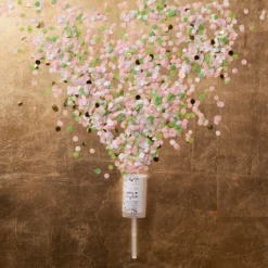 Celebration Sparkling Rosé & Snack Collection -HICKORY FARMS Sales celebration confetti popper 003751 alt