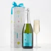 Cheersi Birthday Blanc De Blanc Brut Sparkling Wine -HICKORY FARMS Sales cheersi birthday brut sparkling wine 003628 1